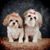 Linda Segedy's profile image