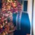 Steve Stojanovich's profile image