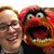 Staci 'Grainne' Corcoran's profile image