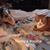 Alan Bibey's profile image