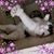 Theresa Knutson's profile image
