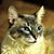 Linda Schultz's profile image