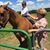 Darlene Beach Lanham's profile image