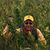 David B. Craft's profile image
