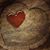 Tami Blackmore's profile image