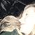 Carrie Brown's profile image
