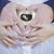 Chris Darnell's profile image