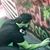 Christos Christopoulos's profile image