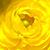 Leslie Ann Wheatley's profile image