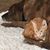 Cyndy Krawczyk Nihill's profile image