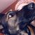 Nicole Parks Slacum's profile image