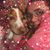 Jackie Davis's profile image
