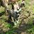 Dixie Wood's profile image