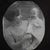 Shirley Fabrygel's profile image