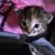 Shirley Bennett's profile image