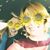 Ann Morgan Cantrell's profile image