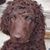 Lynn Musgrave's profile image