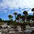 Gail Bartorillo's profile image