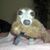 Becky Blenkush's profile image