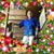 Mark Banther's profile image