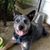 Grace Calabrese's profile image