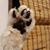 Kelly Severson's profile image