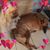 Amilia Notorfrancesco Chase's profile image