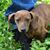 Jaime C. Price's profile image