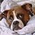 Liz Harpell Cowan's profile image