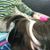Sarah Mitchell's profile image