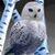 Jessica Garcia Chavez's profile image