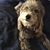 Jill Halpin's profile image