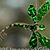 Anne Lees Maier's profile image