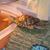 Deb Rieck's profile image