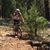 Kathleen Kilpatrick DeVolld's profile image