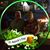 Fran Smith-Connolly's profile image