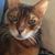Julie Weakley's profile image