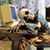 Mary Jo McVeigh's profile image
