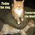 Robbie T Smith's profile image