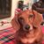 Jeff Hopkin's profile image
