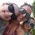 Alicia Dinkins Kiesecker's profile image