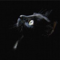 Elle La Fee's profile image