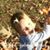 Tracy Dye's profile image