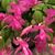 RickSandra McMinn's profile image