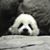 Bao Nguyen's profile image