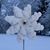 Yvette Martinez Hausleben's profile image