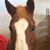 Jan Wojtaszek DeLong's profile image