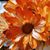 BobbieJo Sweeney's profile image