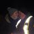 Gabrielle Adele Veno's profile image