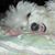Kathy Strizver Neidermeyer's profile image